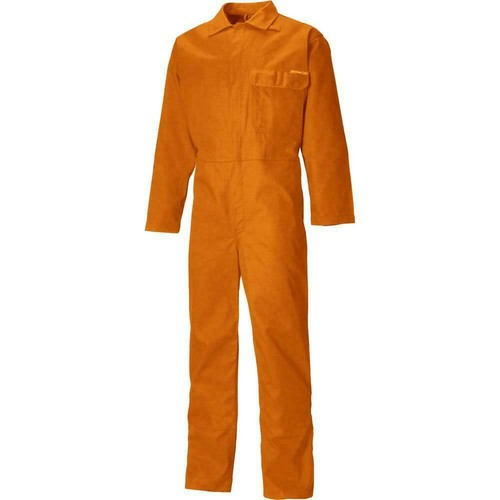 Dickies everyday flame - dickies,